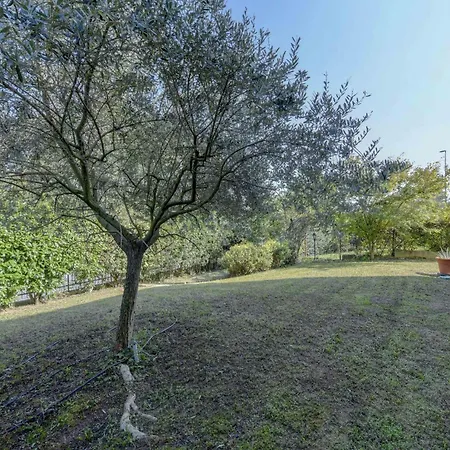 Appartement Oasis With Garden And Pool Desenzanoloft Official Partner Homes & By Marriott Bonvoy Desenzano del Garda