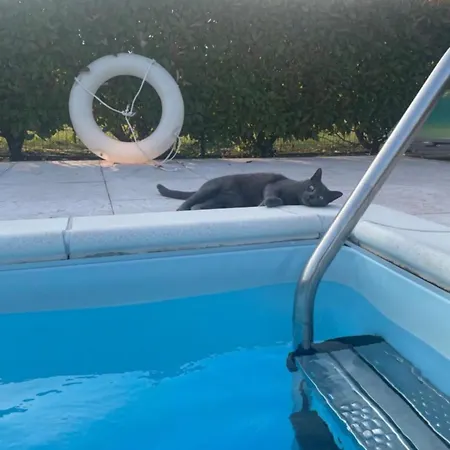 Oasis With Garden And Pool Desenzanoloft Official Partner Homes & By Marriott Bonvoy Appartement